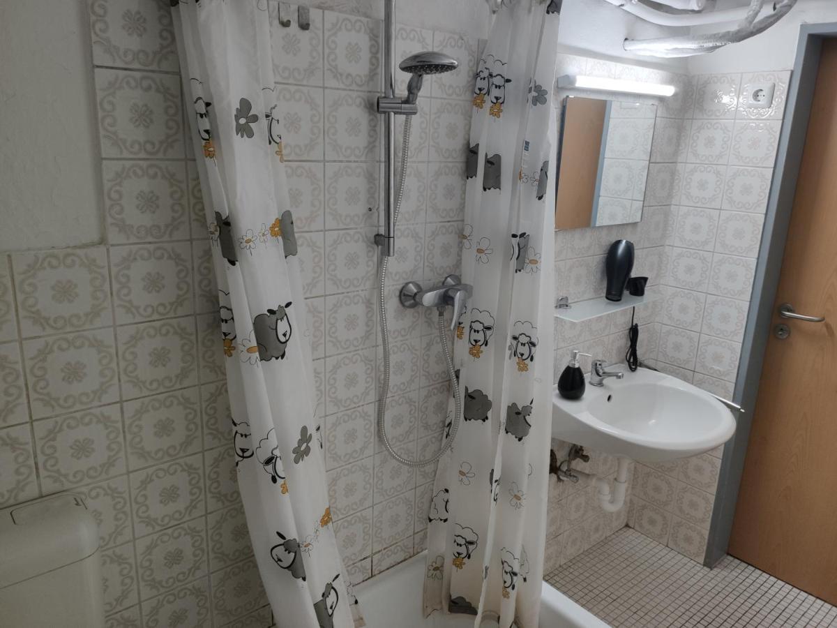 Schoene Einfache Ferienwohnung In Olsztyn Bagian luar foto